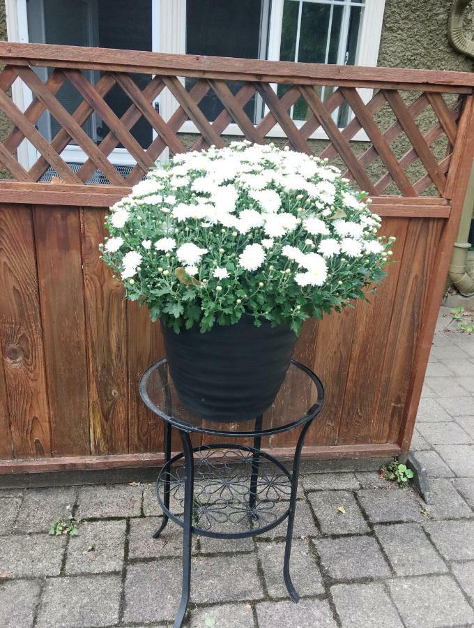 Dunbar Home Vancouver Ngoại thất bức ảnh