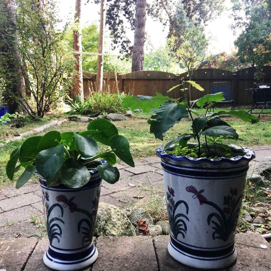 Dunbar Home Vancouver Ngoại thất bức ảnh