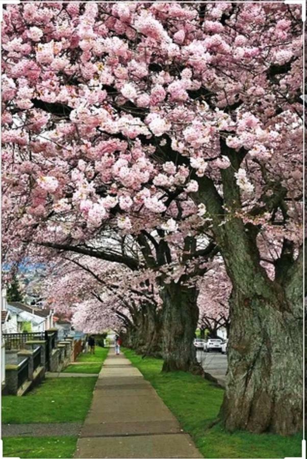 Dunbar Home Vancouver Ngoại thất bức ảnh